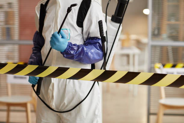 Professional Sewage Cleanup technician working in Rocky Point, WA